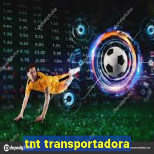 tnt transportadora